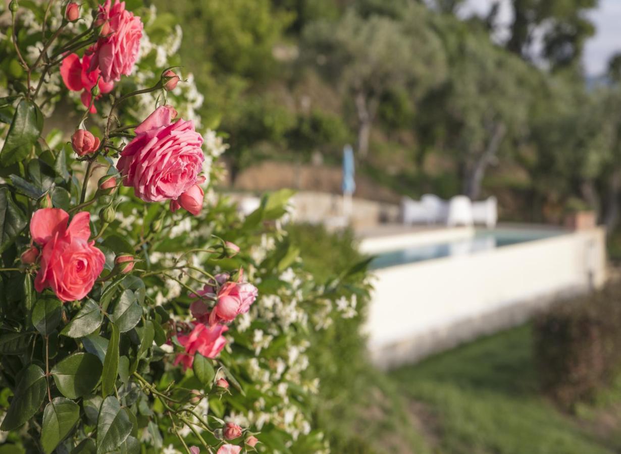 Capo dʼOrlando Villa Laura מראה חיצוני תמונה
